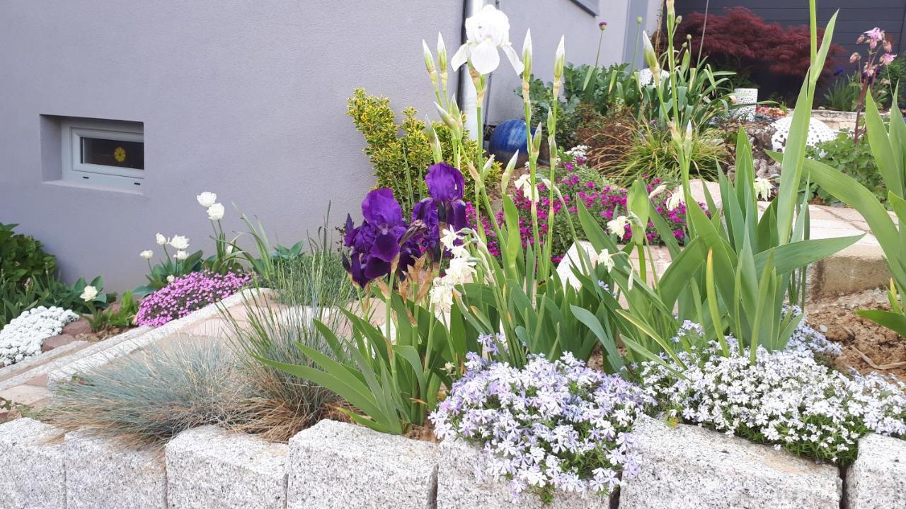 Gite Terre D'Helene 4 A 5 Pers Proche Strasbourg 42 M2, 3 Etoiles, Wifi, Paisible, Jardin, Proche Commerces,16 Atouts, Animaux Acceptes Berstett 外观 照片