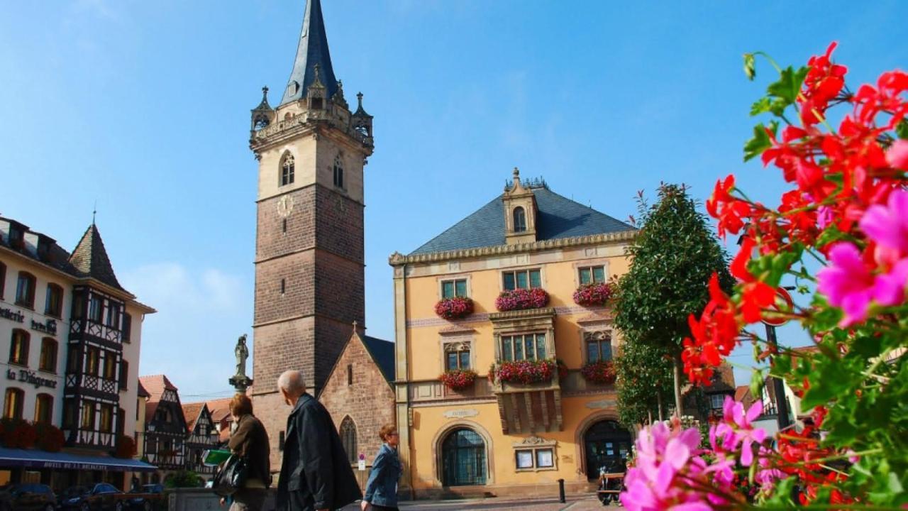 Gite Terre D'Helene 4 A 5 Pers Proche Strasbourg 42 M2, 3 Etoiles, Wifi, Paisible, Jardin, Proche Commerces,16 Atouts, Animaux Acceptes Berstett 外观 照片