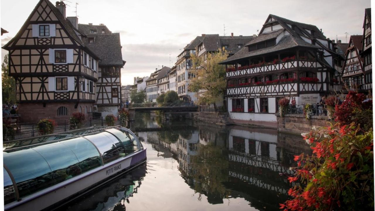 Gite Terre D'Helene 4 A 5 Pers Proche Strasbourg 42 M2, 3 Etoiles, Wifi, Paisible, Jardin, Proche Commerces,16 Atouts, Animaux Acceptes Berstett 外观 照片