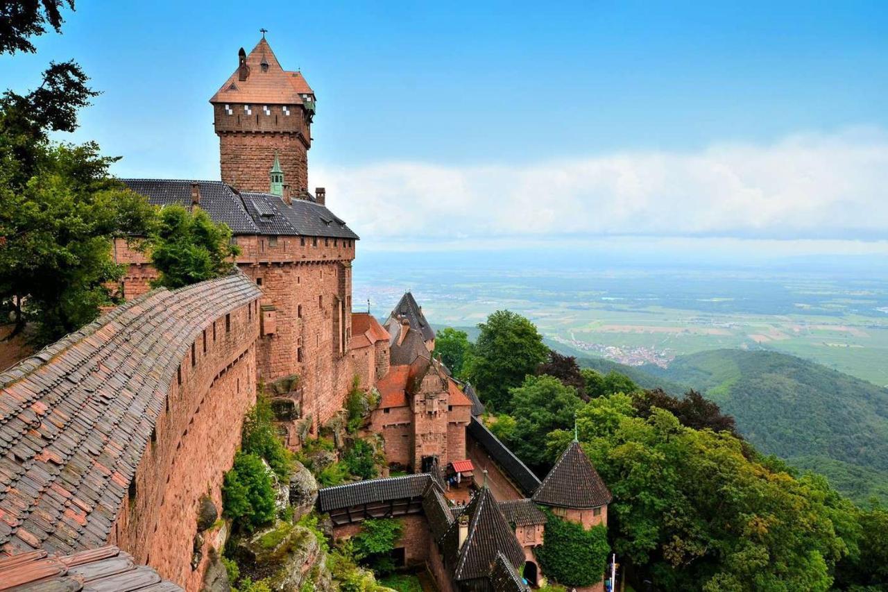 Gite Terre D'Helene 4 A 5 Pers Proche Strasbourg 42 M2, 3 Etoiles, Wifi, Paisible, Jardin, Proche Commerces,16 Atouts, Animaux Acceptes Berstett 外观 照片