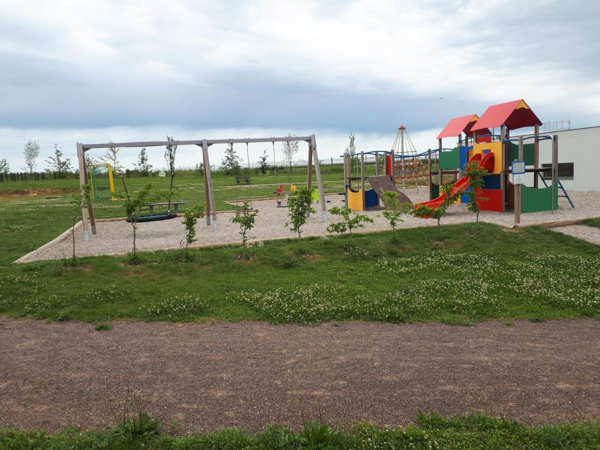 Gite Terre D'Helene 4 A 5 Pers Proche Strasbourg 42 M2, 3 Etoiles, Wifi, Paisible, Jardin, Proche Commerces,16 Atouts, Animaux Acceptes Berstett 外观 照片